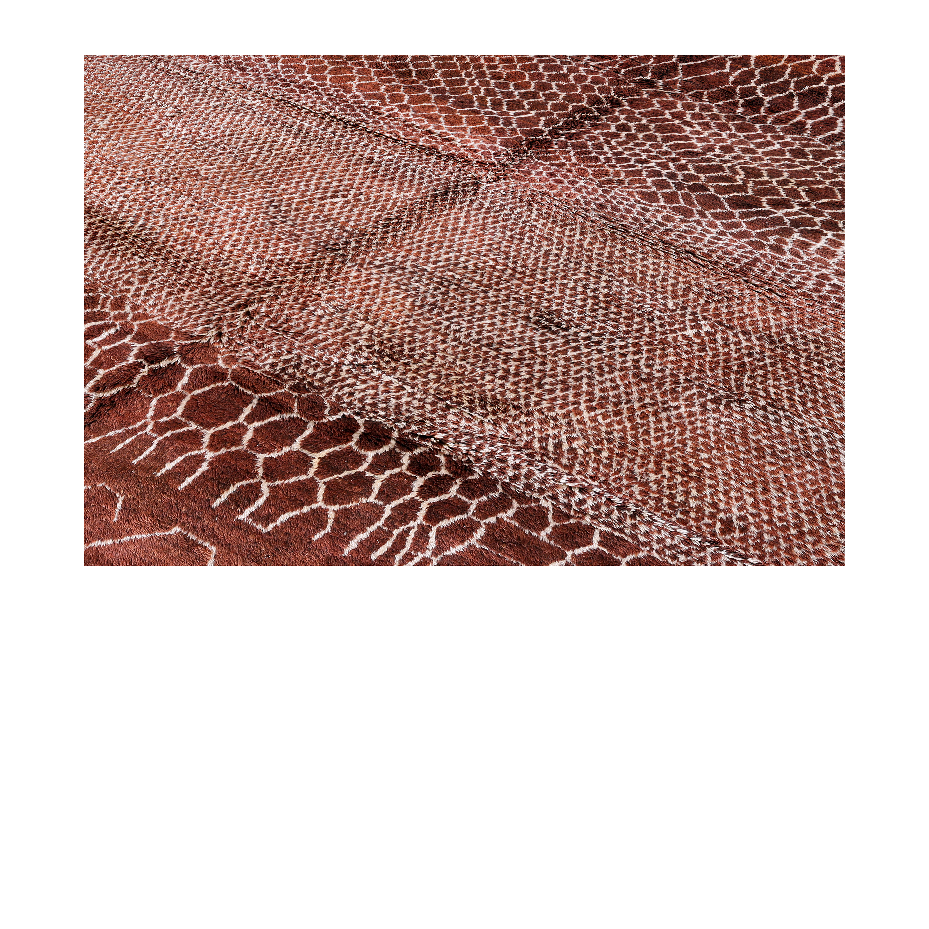 Bold Beni Ourain Moroccan